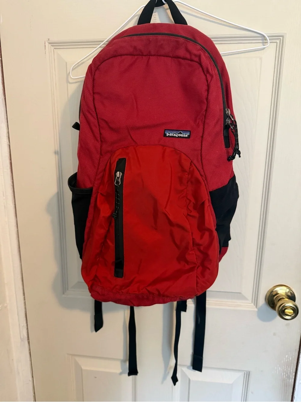 Patagonia Red and Black Everyday Backpack